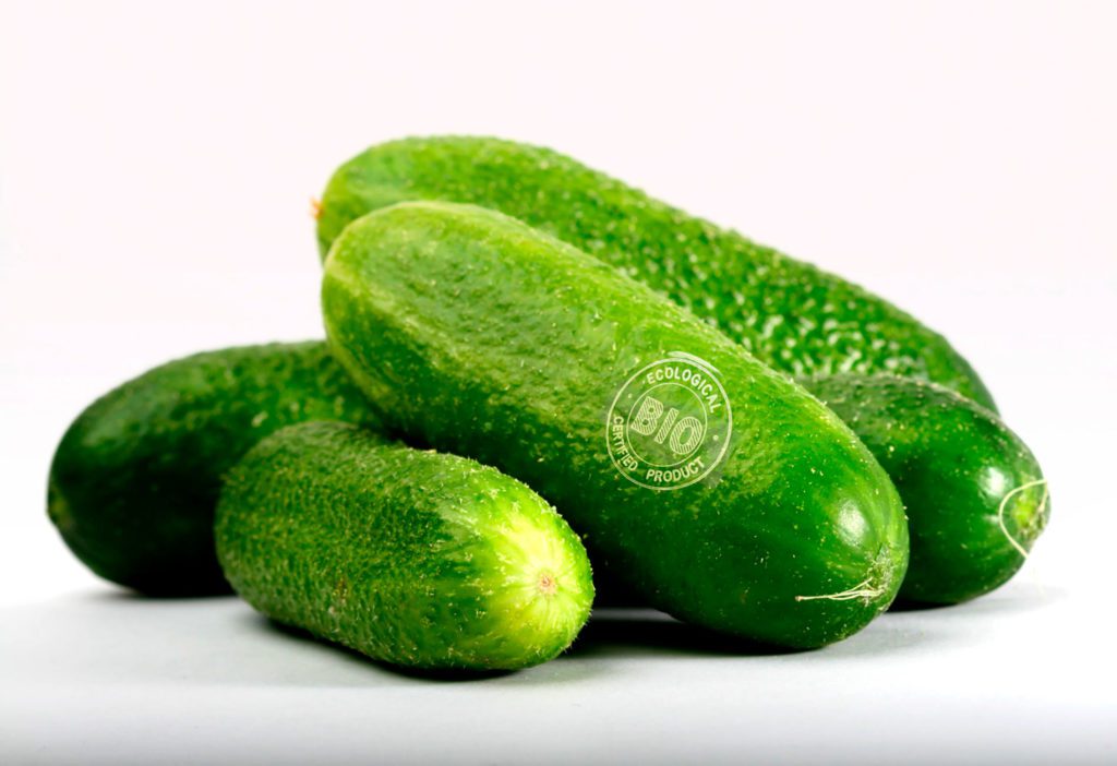 pepino